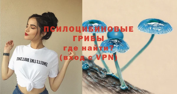 гидра Балабаново