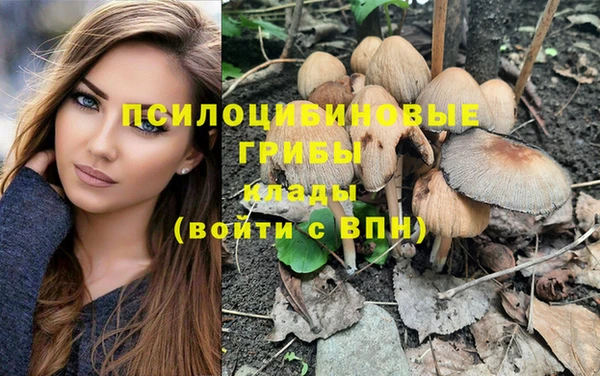 стафф Баксан