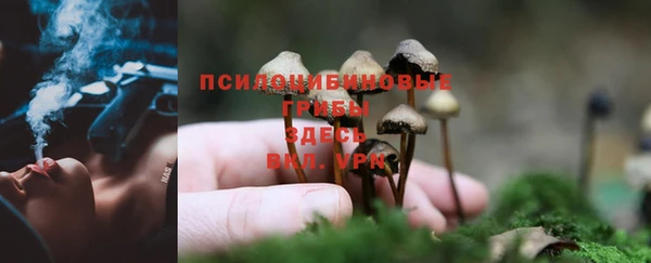 мет Балахна