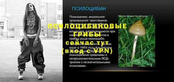 мет Балахна