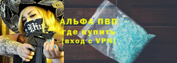 индика Козельск