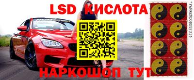 крисы Лесосибирск