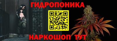 крисы Лесосибирск