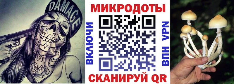 ОМГ ОМГ онион  Корсаков  Псилоцибиновые грибы прущие грибы 