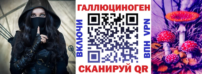 Псилоцибиновые грибы Psilocybe Корсаков
